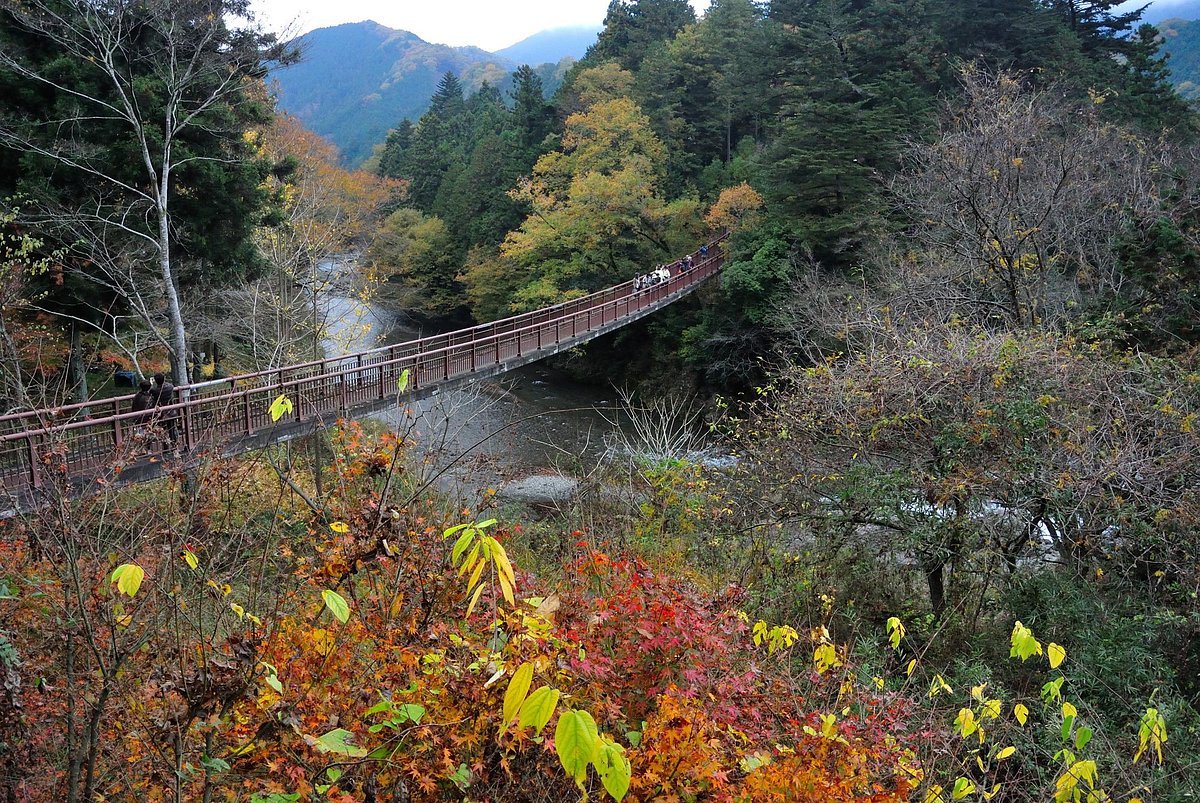 🏞️ 아키가와 계곡 이미지 6